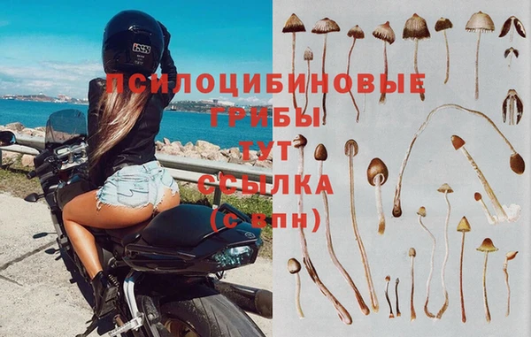 тгк Нея