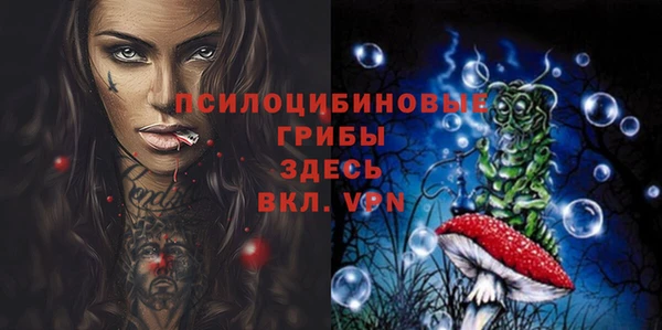 тгк Нея