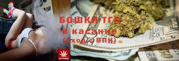 тгк Нея