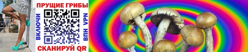 Галлюциногенные грибы мухоморы Сальск