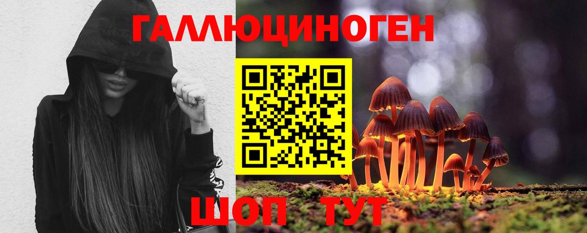 Псилоцибиновые грибы Сальск
